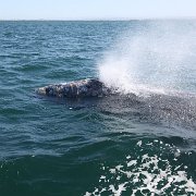 IMG 0001 2 (279)